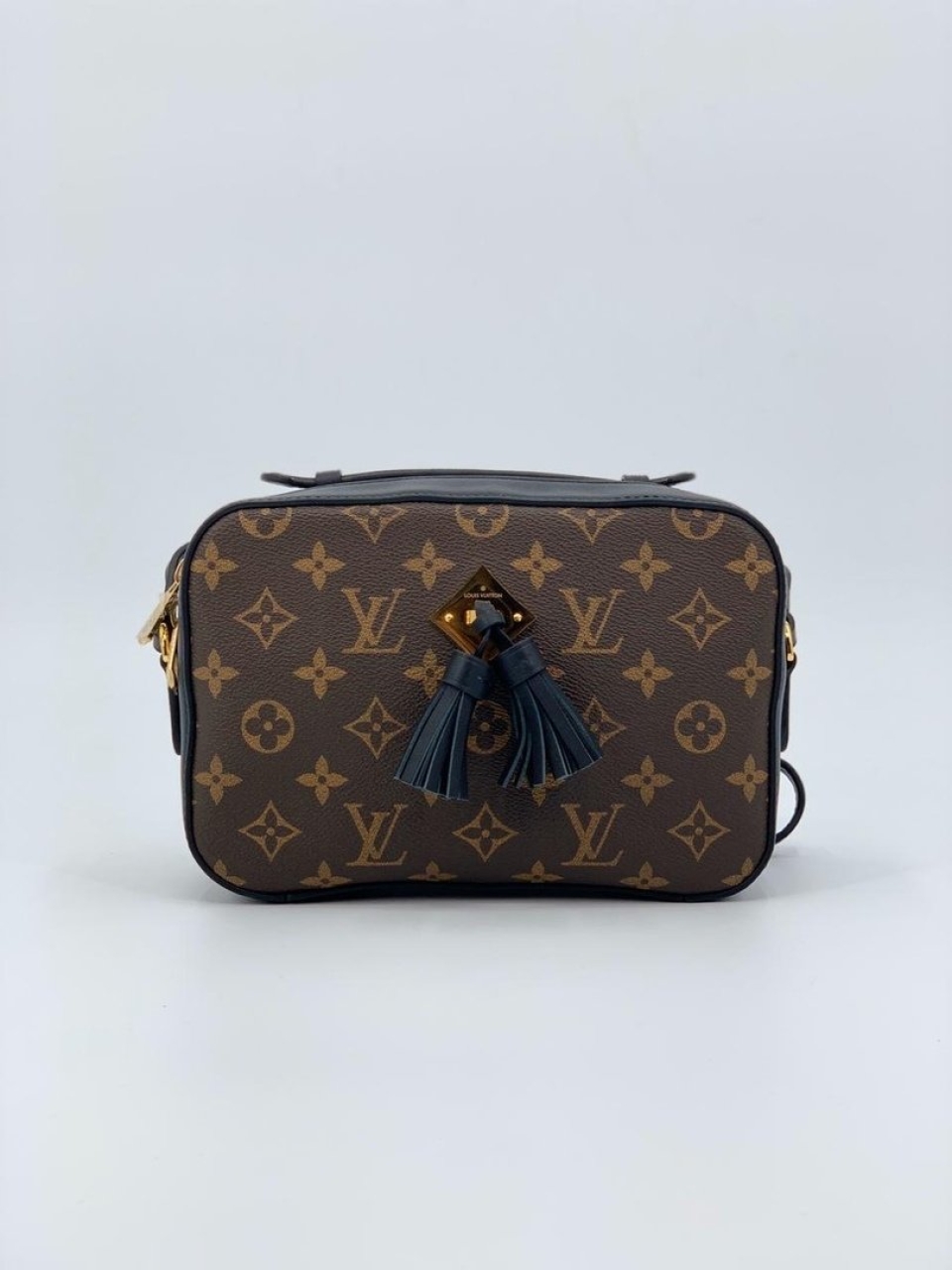 Сумка Louis Vuitton